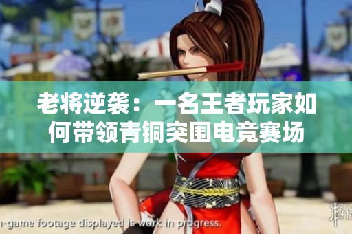 老将逆袭：一名王者玩家如何带领青铜突围电竞赛场