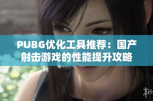 PUBG优化工具推荐：国产射击游戏的性能提升攻略