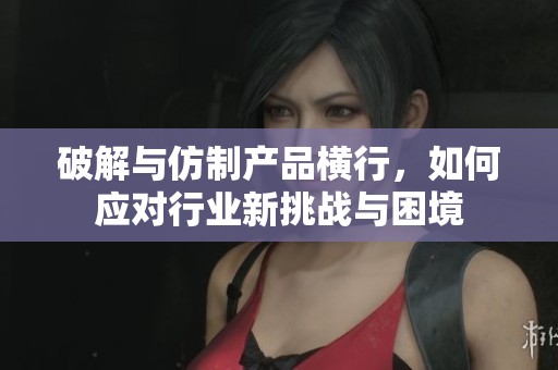 破解与仿制产品横行，如何应对行业新挑战与困境