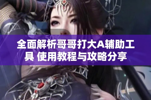 全面解析哥哥打大A辅助工具 使用教程与攻略分享