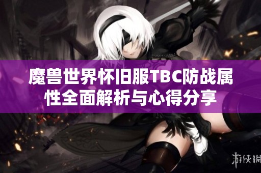 魔兽世界怀旧服TBC防战属性全面解析与心得分享