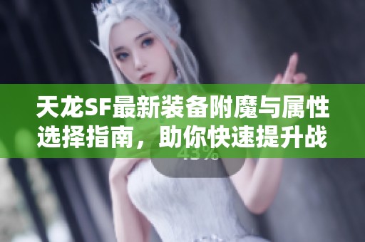 天龙SF最新装备附魔与属性选择指南，助你快速提升战力