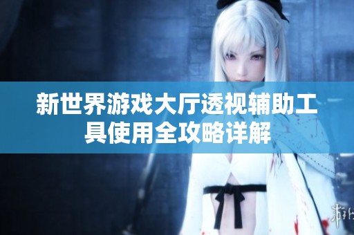 新世界游戏大厅透视辅助工具使用全攻略详解