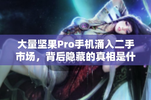 大量坚果Pro手机涌入二手市场，背后隐藏的真相是什么？