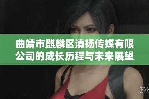 曲靖市麒麟区清扬传媒有限公司的成长历程与未来展望分析