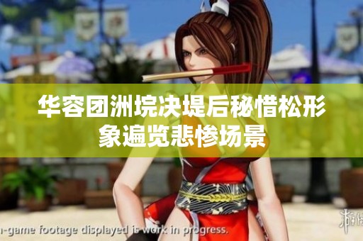 华容团洲垸决堤后秘惜松形象遍览悲惨场景