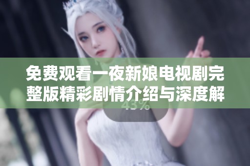 免费观看一夜新娘电视剧完整版精彩剧情介绍与深度解析
