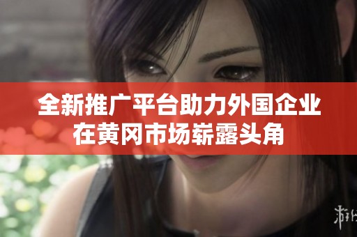 全新推广平台助力外国企业在黄冈市场崭露头角