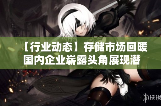 【行业动态】存储市场回暖 国内企业崭露头角展现潜力