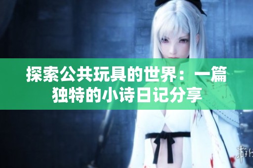 探索公共玩具的世界：一篇独特的小诗日记分享