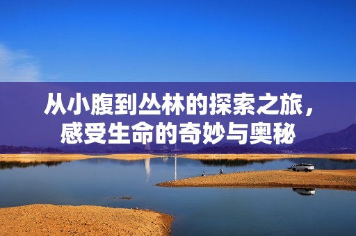 从小腹到丛林的探索之旅，感受生命的奇妙与奥秘