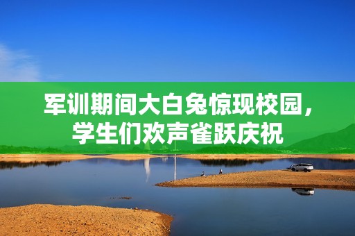 军训期间大白兔惊现校园，学生们欢声雀跃庆祝