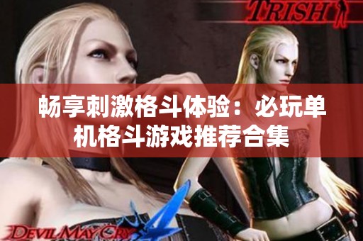 畅享刺激格斗体验：必玩单机格斗游戏推荐合集
