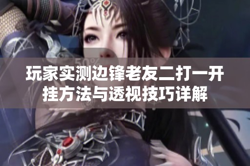 玩家实测边锋老友二打一开挂方法与透视技巧详解