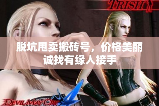 脱坑甩卖搬砖号，价格美丽诚找有缘人接手