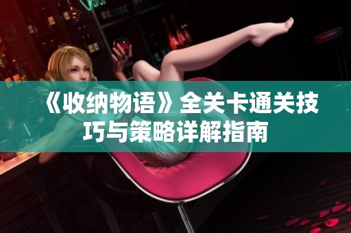 《收纳物语》全关卡通关技巧与策略详解指南