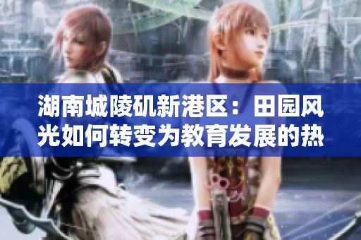 湖南城陵矶新港区：田园风光如何转变为教育发展的热土