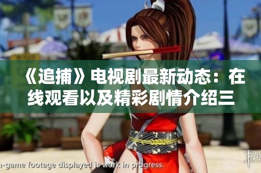 《追捕》电视剧最新动态：在线观看以及精彩剧情介绍三集播放中