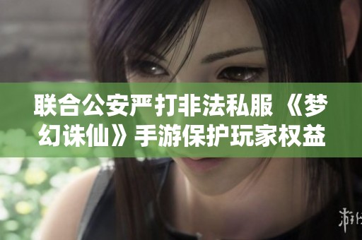 联合公安严打非法私服 《梦幻诛仙》手游保护玩家权益