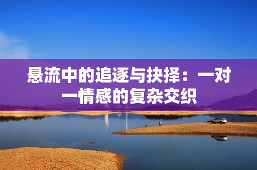 悬流中的追逐与抉择：一对一情感的复杂交织