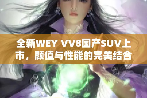 全新WEY VV8国产SUV上市，颜值与性能的完美结合