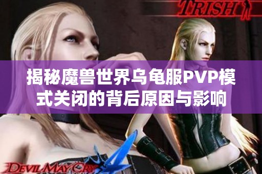 揭秘魔兽世界乌龟服PVP模式关闭的背后原因与影响