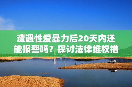 遭遇性爱暴力后20天内还能报警吗？探讨法律维权措施