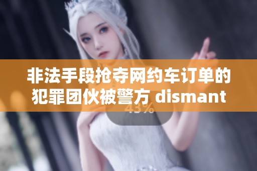 非法手段抢夺网约车订单的犯罪团伙被警方 dismantle 追捕归案