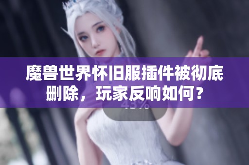 魔兽世界怀旧服插件被彻底删除，玩家反响如何？