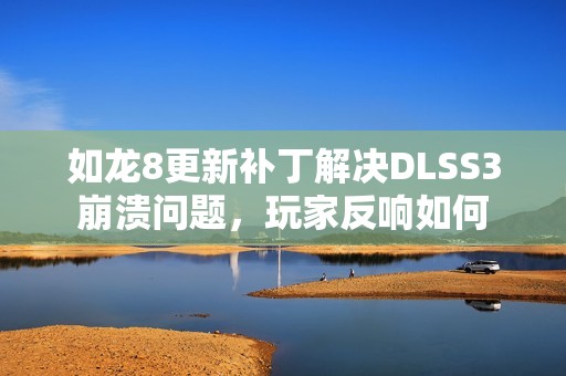 如龙8更新补丁解决DLSS3崩溃问题，玩家反响如何