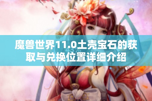 魔兽世界11.0土壳宝石的获取与兑换位置详细介绍