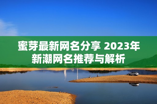 蜜芽最新网名分享 2023年新潮网名推荐与解析