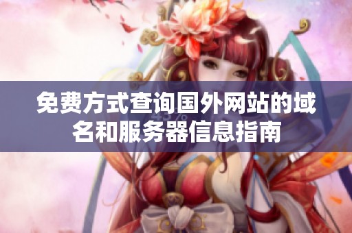 免费方式查询国外网站的域名和服务器信息指南