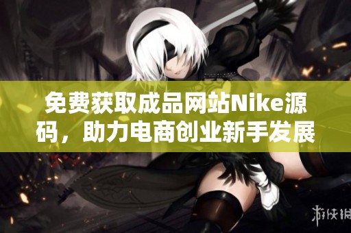 免费获取成品网站Nike源码，助力电商创业新手发展