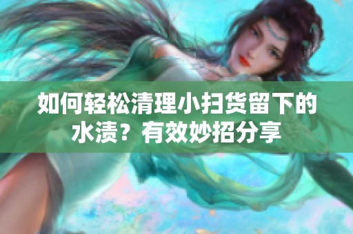 如何轻松清理小扫货留下的水渍？有效妙招分享