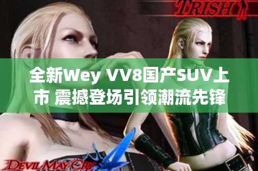 全新Wey VV8国产SUV上市 震撼登场引领潮流先锋