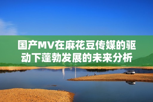 国产MV在麻花豆传媒的驱动下蓬勃发展的未来分析