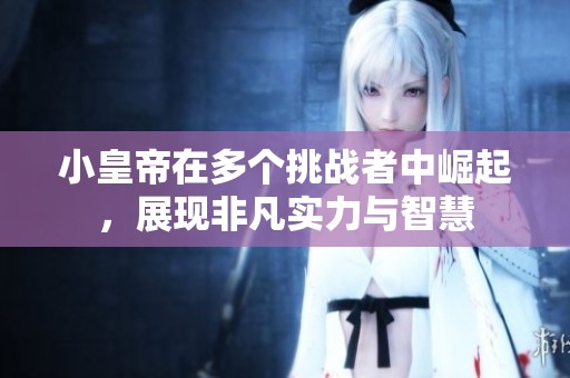 小皇帝在多个挑战者中崛起，展现非凡实力与智慧