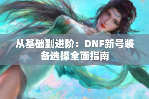 从基础到进阶：DNF新号装备选择全面指南