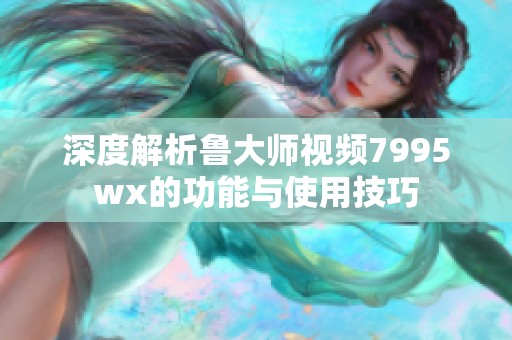 深度解析鲁大师视频7995wx的功能与使用技巧