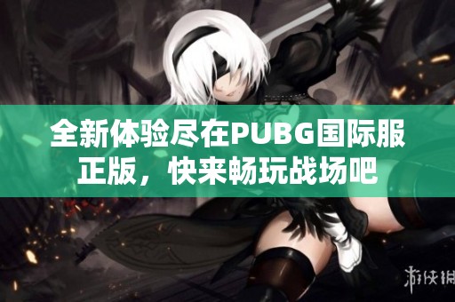 全新体验尽在PUBG国际服正版，快来畅玩战场吧