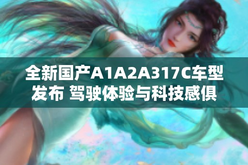 全新国产A1A2A317C车型发布 驾驶体验与科技感俱佳