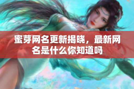 蜜芽网名更新揭晓，最新网名是什么你知道吗