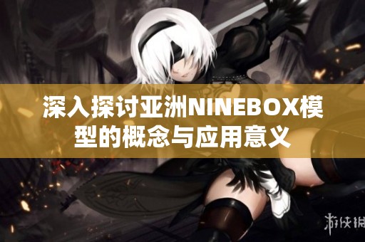 深入探讨亚洲NINEBOX模型的概念与应用意义