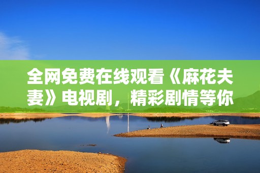 全网免费在线观看《麻花夫妻》电视剧，精彩剧情等你来欣赏