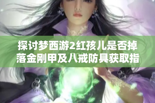 探讨梦西游2红孩儿是否掉落金刚甲及八戒防具获取指南