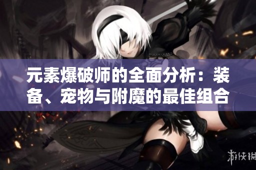 元素爆破师的全面分析：装备、宠物与附魔的最佳组合攻略