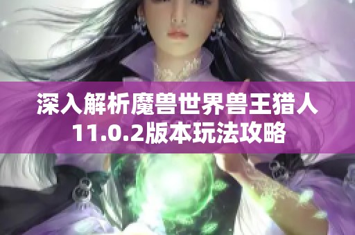 深入解析魔兽世界兽王猎人11.0.2版本玩法攻略