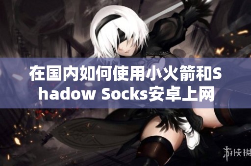 在国内如何使用小火箭和Shadow Socks安卓上网