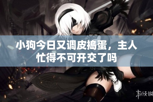 小狗今日又调皮捣蛋，主人忙得不可开交了吗